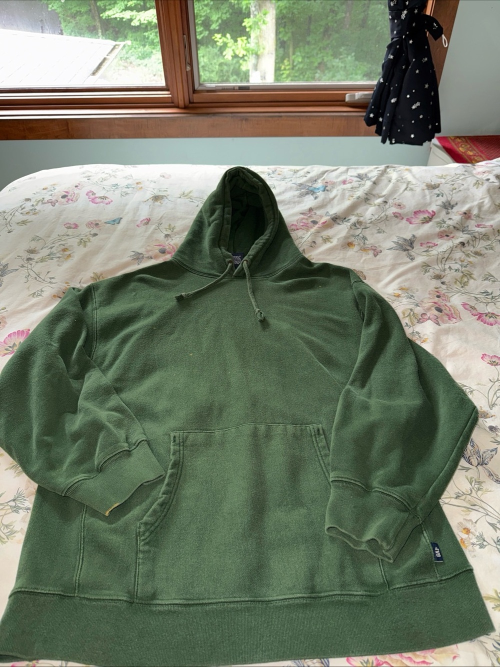 Vintage 2002 Y2K GAP Green Hooded Sweatshirt with Drawstring